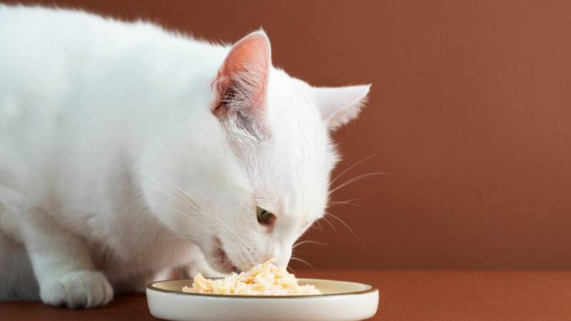 <div class="migrated-promo-image__description"><div class="migrated-promo-image__source">Fuente: Freepik.es</div></div>