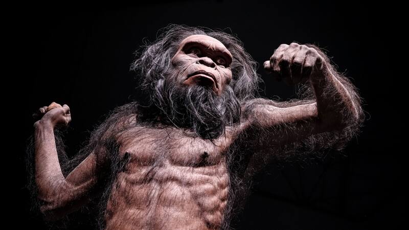 Descubrimiento prehistórico: hallan un neandertal que vivió aislado hace más de 50.000 años y desafía todo lo que conocemos sobre su extinción.