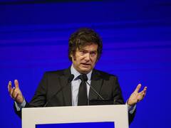 A 14 días del fin de la motosierra en el sector público: ¿Argentina ya adelgazó lo suficiente?