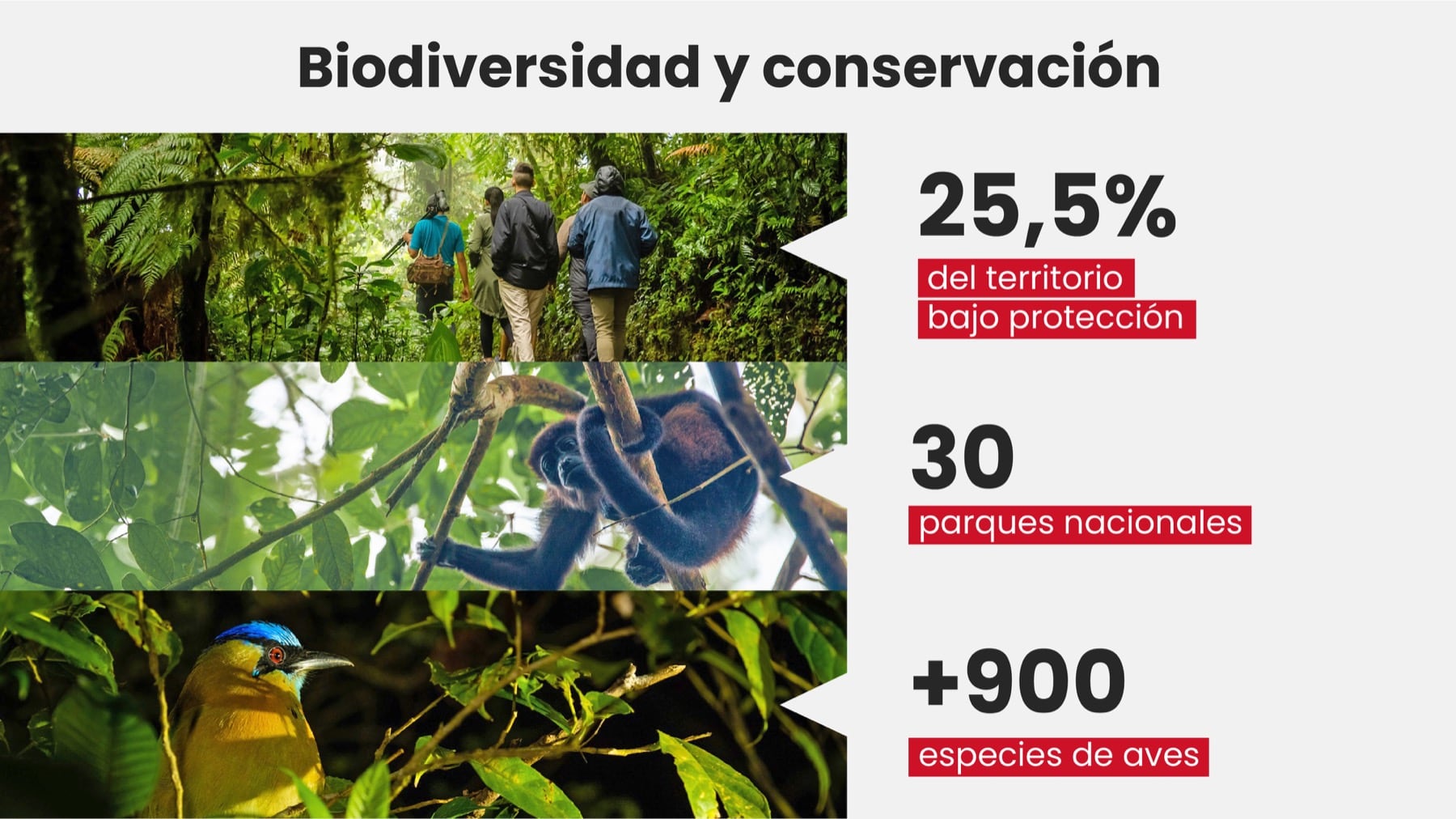 Biodiversidad y conservaci&oacute;n: 25,5% del territorio bajo protecci&oacute;n, 30 parques nacionales, m&aacute;s de 900 especies de aves