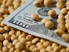 La UE pone en riesgo exportaciones de soja de la Argentina