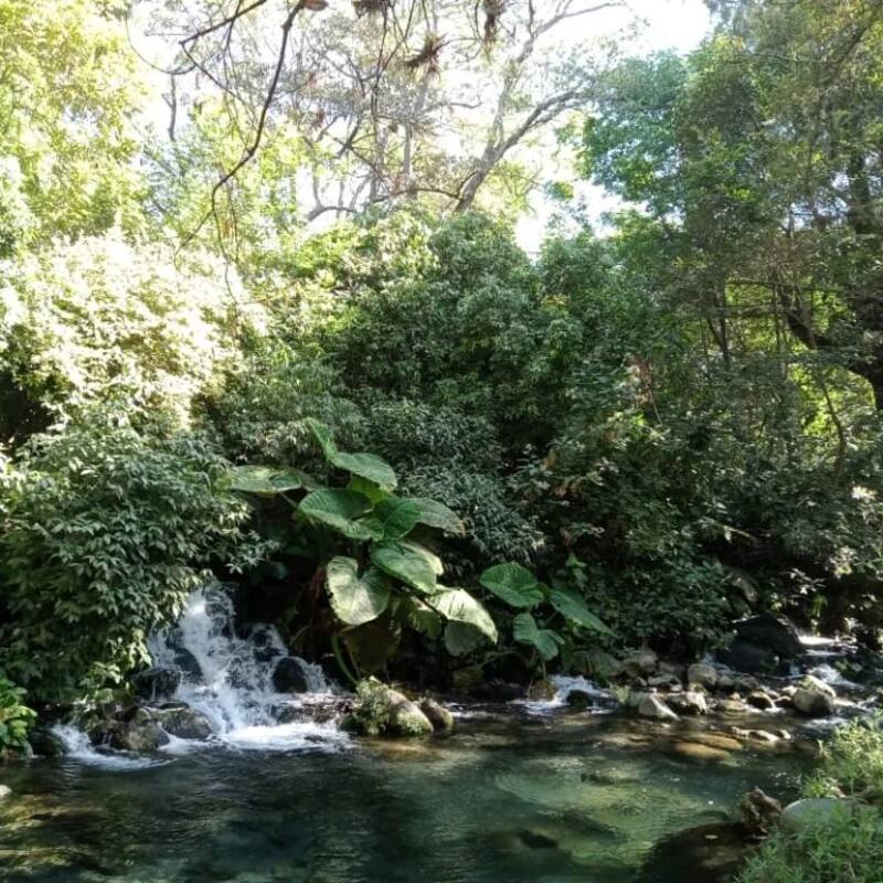 El balneario Ejidal El Bosque es el más elegido para visitar Oaxtepec y ofrece un entorno ideal para conectar con la naturaleza, a un precio de entrada barato. Foto: Instagram @liz.brisa23