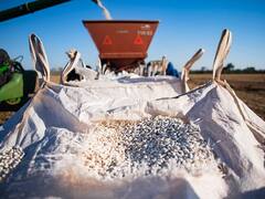 Gigante agroindustrial salteño compró un campo por u$s 12 millones y lo destinará para un negocio clave