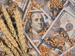 Retenciones: Caputo hizo un gesto político con el campo, con limitado impacto fiscal