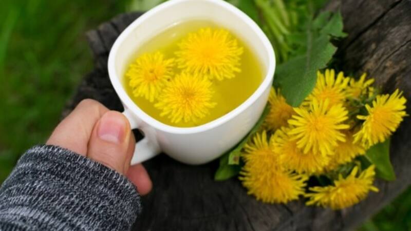 <div class="migrated-promo-image__description"><div class="migrated-promo-image__source">Fuente: Freepik</div></div>