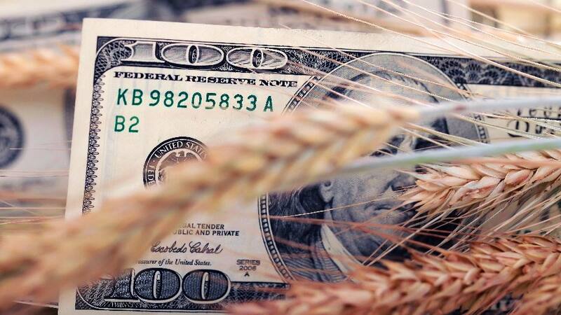 Inicia la época de la liquidación de la cosecha gruesa.