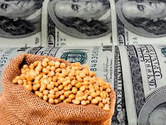 Con el boom de la soja, Nación se queda con un 15% más de la recaudación que hace un año