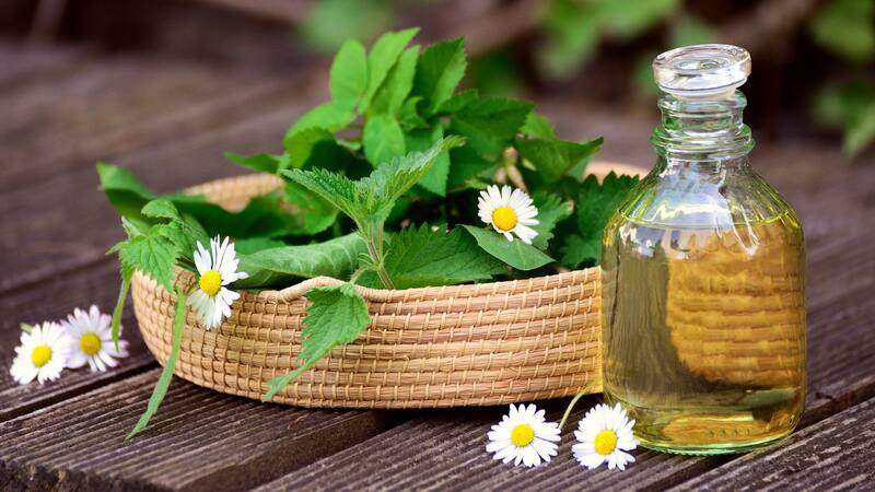 La hierva sagrada que ayuda a dormir, reduce el estrés, protege las encías y alivia los dolores muscualres.