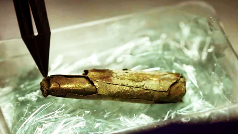 <div class="migrated-promo-image__description"><div class="migrated-promo-image__source">Fuente: Ciudad de Frankfurt</div></div>