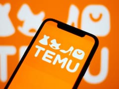 Temu bajo la lupa: cómo nació el negocio del rival más temido de Shein