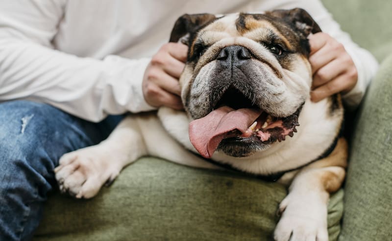 Qué es y hasta cuándo hay tiempo de tramitar el RUAC. Fuente: Shutterstock.