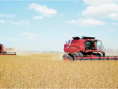 Empresas de insumos mantienen dolarizadas sus ventas al campo