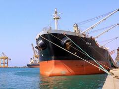 Importaciones: alertan por parada de buques y posible falta de insumos clave