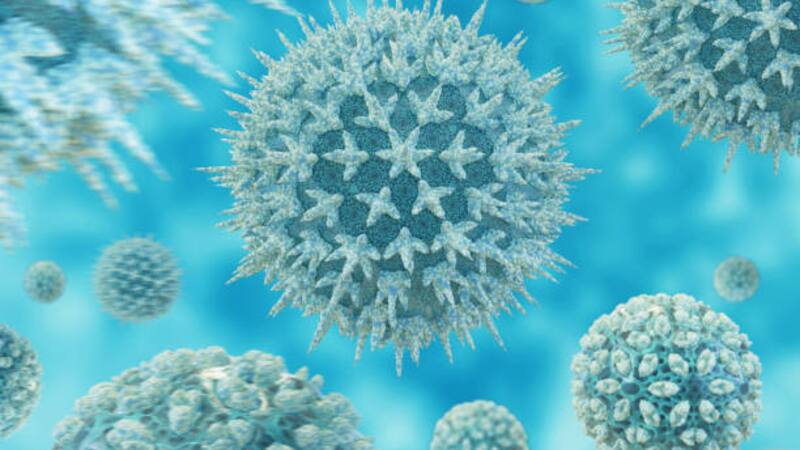 Si este virus llega a mutar, la humanidad está en peligro, según este patólogo estrella.