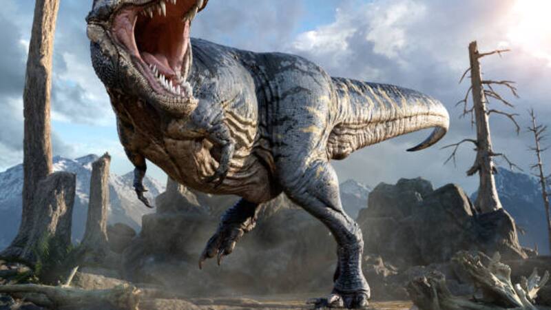 Conocé qué dice la ciencia sobre la esperanza de vida de los dinosaurios.