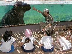 Temaikén: una opción diferente para los más chicos en vacaciones