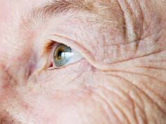 Ojo de halcón: el secreto para evitar las cataratas, el glaucoma y nunca más volver a usar lentes