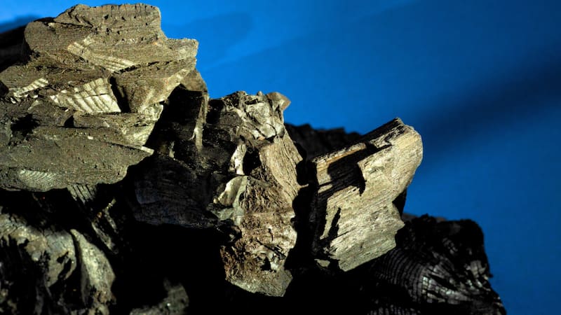 Ni cuarzo, ni turmalina: la piedra energética que más resguarda, previene la inflamación y aumenta la energía.