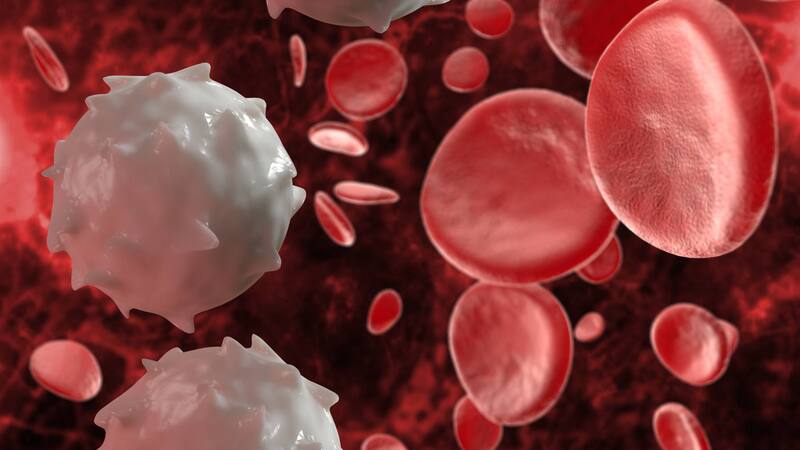 Descubren un nuevo tipo de grupo sanguíneo. Fuente: Archivo