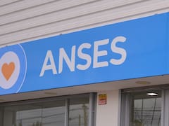 Cómo solicitar la PUAM de ANSES de manera digital y en simples pasos