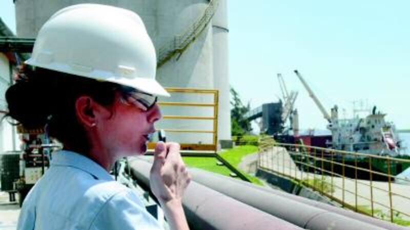 Argentina es el principal jugador mundial de harina de soja