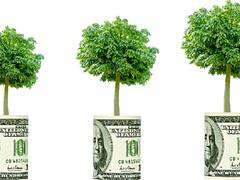 Con la cuarentena relajada, vuelven al centro arbolitos con barbijo a vender el dólar blue