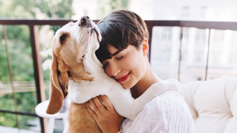 Las mascotas pueden ayudar a mejorar la autoestima y la autoconfianza en niños y adultos a través de su afecto incondicional.