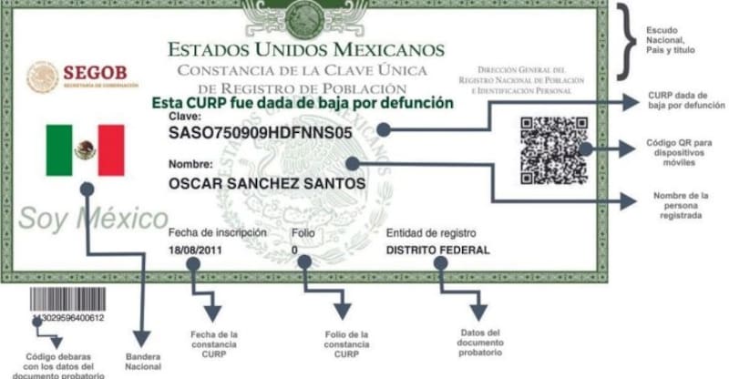 CURP | Así puedes obtenerlo en línea y descargarlo en PDF.