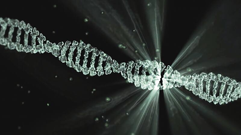 Conocé qué dice la ciencia sobre el rol de la genética en el desarrollo de esta enfermedad.