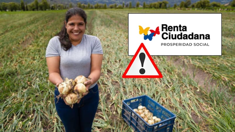 Renta Ciudadana continúa siendo entregado en todo el país.