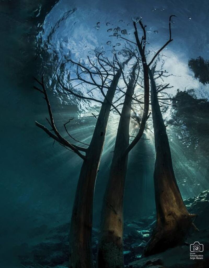 Espectacular fotografía subacuática de Sergio Massaro