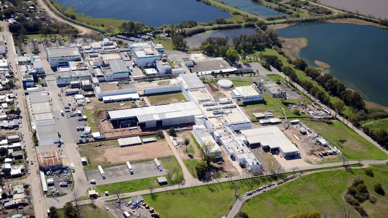 Paladini ya puede exportar carne de cerdo a Uruguay