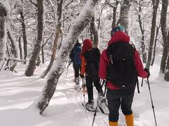 Vacaciones de invierno: qué provincias piden test y de qué tipo para entrar