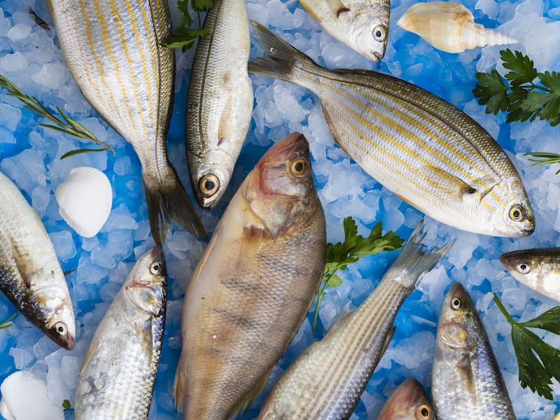 Los pescados azules, ricos en omega-3, son excelentes para reducir la inflamación. (Fuente: Freepik)