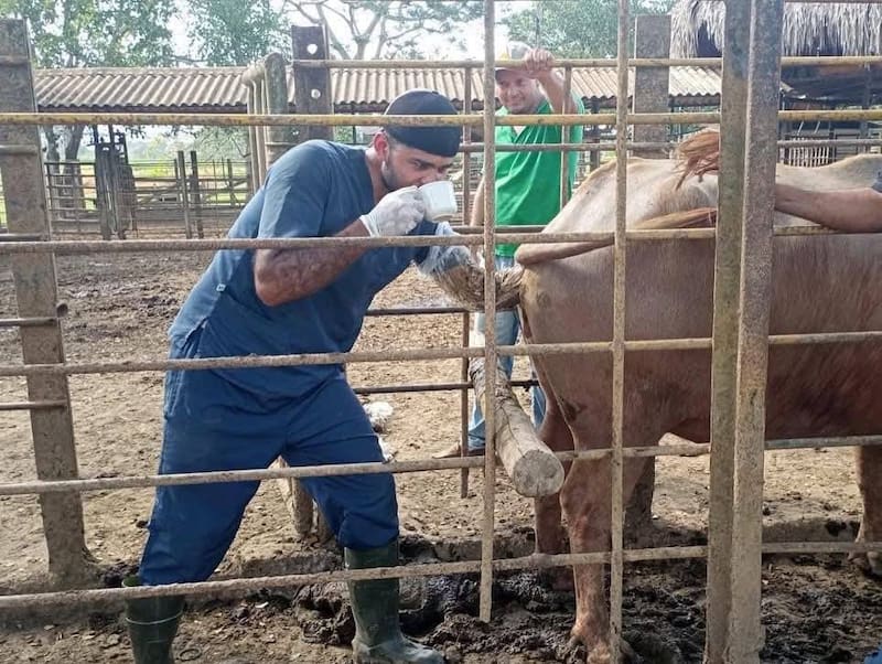 Niber Alejandro Avendaño Patiño, un veterinario de 31 años, fue asesinado tras un llamado de servicio falso. (Imagen: archivo).