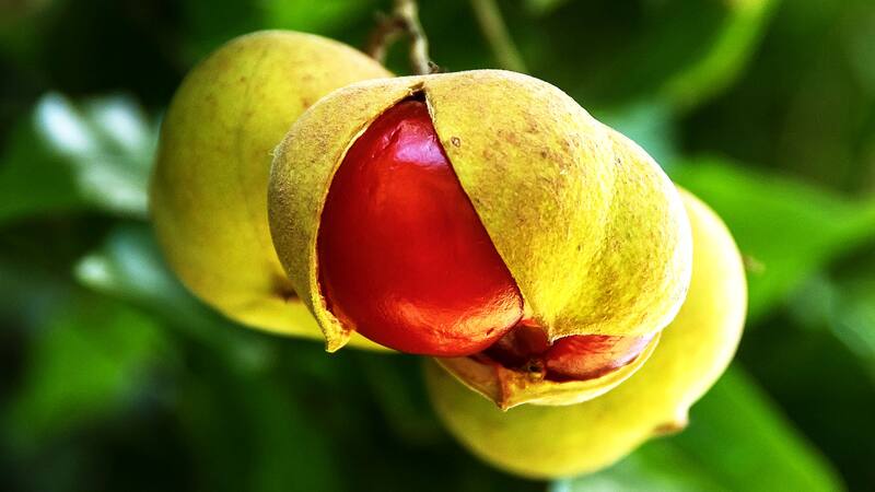 <div class="migrated-promo-image__description"><div class="migrated-promo-image__source">Fuente: Pixabay</div></div>