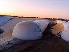 Silobolsas: Massa presentó un proyecto para castigar delitos rurales y el campo lo tildó de "oportunista"