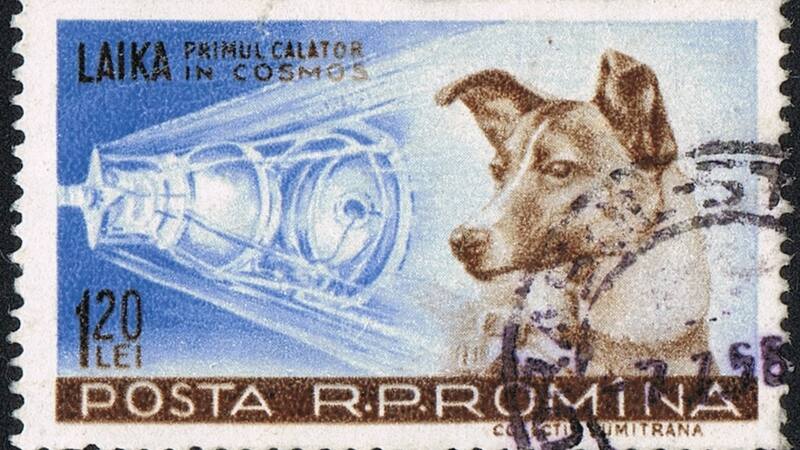 Sello postal rumano de 1959 con la imagen de Laika (la leyenda dice "Laika, primera viajera espacial".)