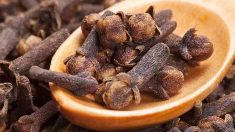 <div class="migrated-promo-image__description"><div class="migrated-promo-image__source">Fuente: freepik</div></div>