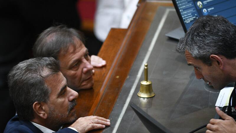 Los libertarios apuntan contra sus líderes en la Cámara de Diputados.