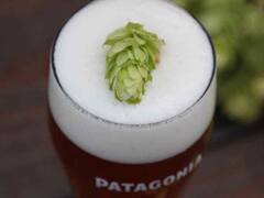 Wet Hop: cómo es la cerveza 'de otoño', con lúpulo fresco y de edición limitada