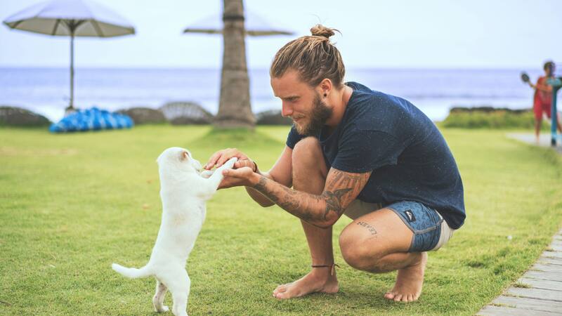 Estas son las razas que mejor se llevan con las personas.