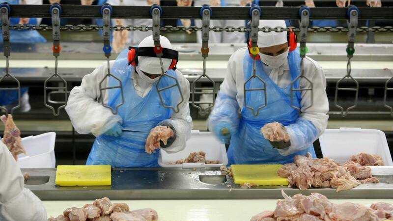 Adecco busca 40 empleados para el sector de alimentación y no piden experiencia previa. (Foto: archivo).