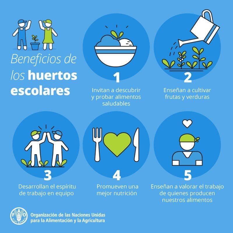 Estos son los beneficios de armas huertas en escuelas.