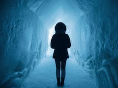 Cambia la historia para siempre: el impresionante hallazgo en un glaciar que altera la teoría de la evolución de la Tierra