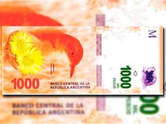 Chau billete de $ 1000: la razón por la que los rechazan, ¿qué hacer si tengo uno?