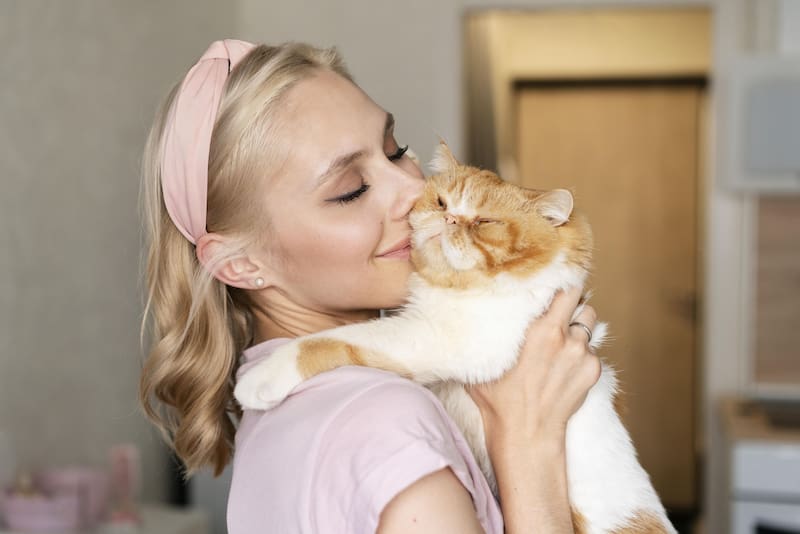 Gatos. Fuente: Archivo.