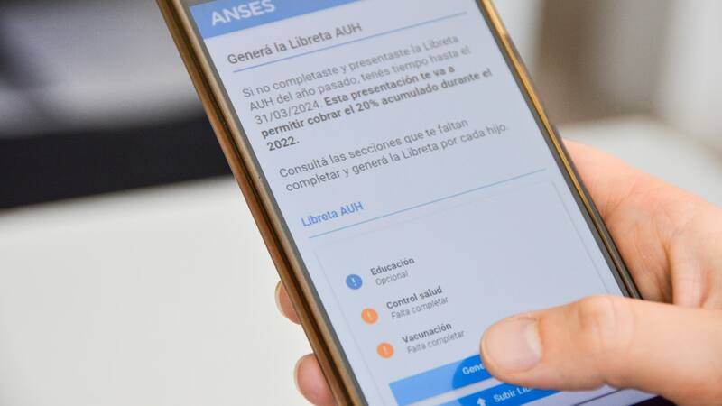 Es fundamental que las familias se informen sobre los requisitos y plazos para evitar inconvenientes en la obtención del complemento acumulado.