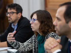 "Silvina Batakis es una heterodoxa", celebró una economista ultra kirchnerista