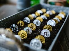 Inversores en Bitcoin, del rally del verano a perder 26%, en solo 120 días ¿cómo sigue?